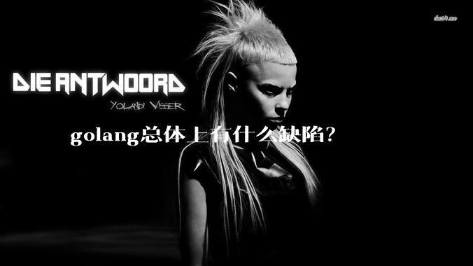 golang总体上有什么缺陷？
