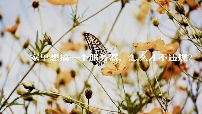 家里想搞一个服务器，怎么才不违规？