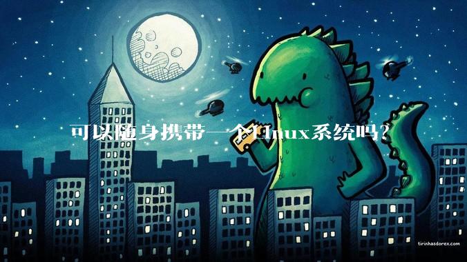可以随身携带一个Linux系统吗？