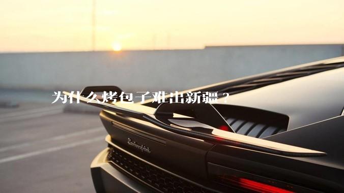 为什么烤包子难出新疆?