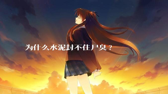 为什么水泥封不住尸臭?
