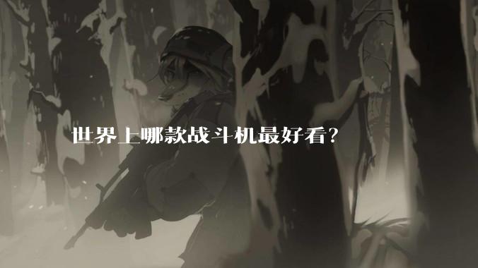 世界上哪款战斗机最好看？