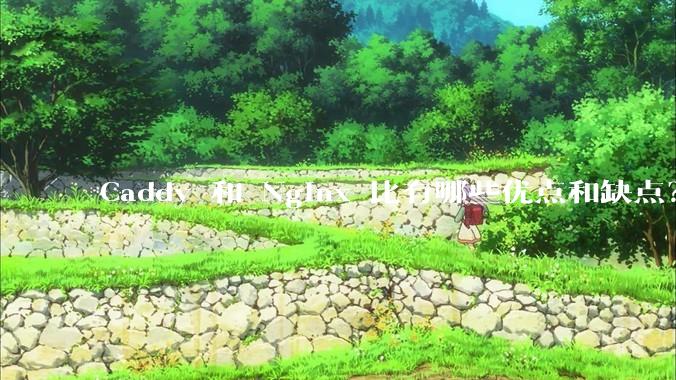 Caddy 和 Nginx 比有哪些优点和缺点？