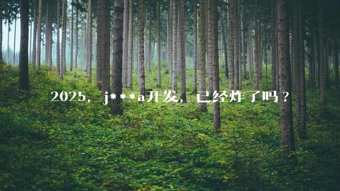 2025，j***a开发，已经炸了吗?