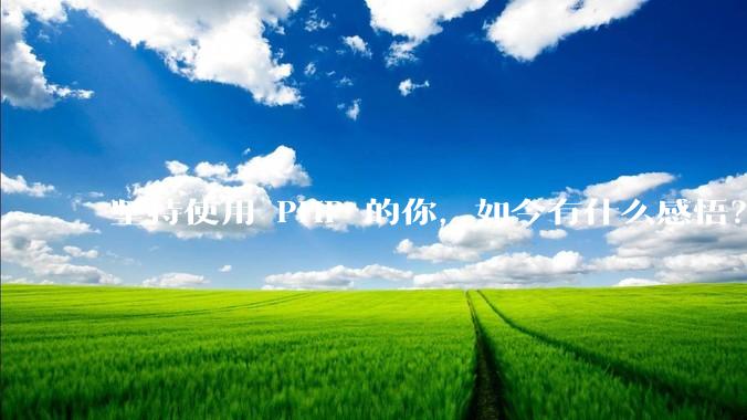 坚持使用 PHP 的你，如今有什么感悟？