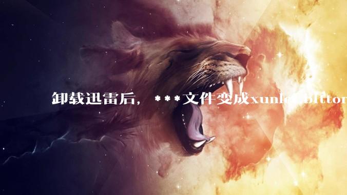 卸载迅雷后，***文件变成xunlei.bittorrent.6,怎么还原回去啊，心态炸了！?