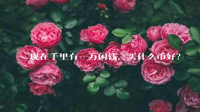 现在手里有一万闲钱，买什么币好？